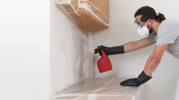 Professional Mold Removal technician working in Hendersonville, NC