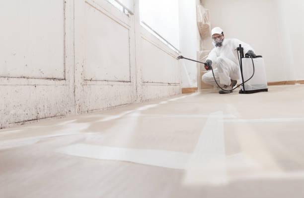 24/7 Emergency Mold Removal experts in Hendersonville, NC