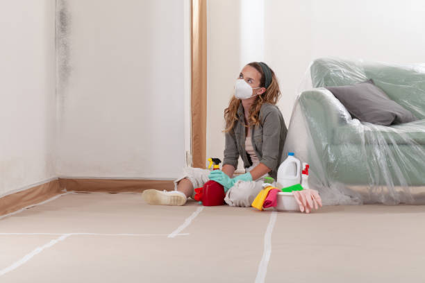 Reliable Mold Removal contractor in Hendersonville, NC by WQB Mold Removal